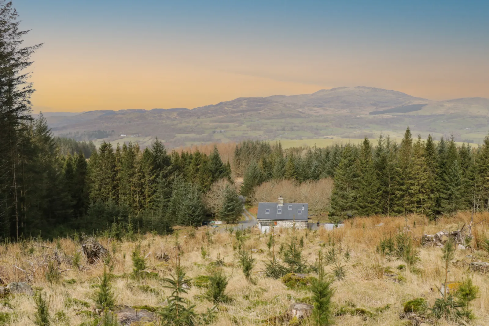 Property image 1 for SC991591