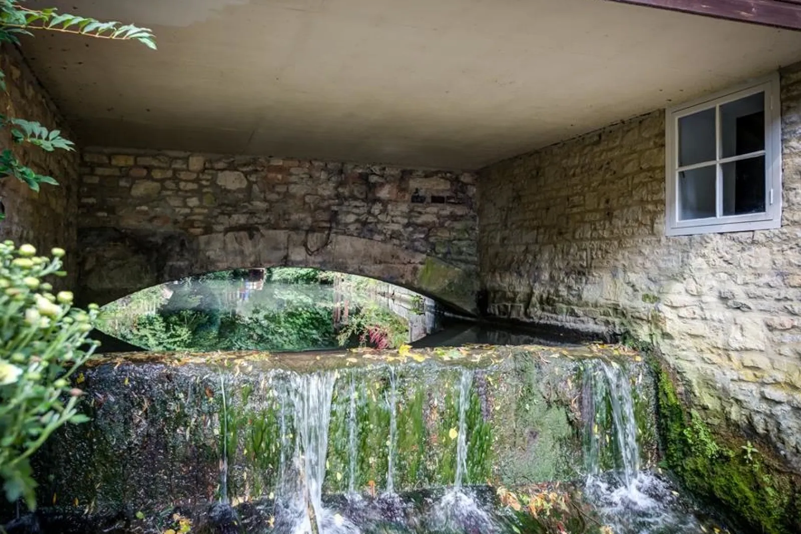 Property image 5 for SC992612