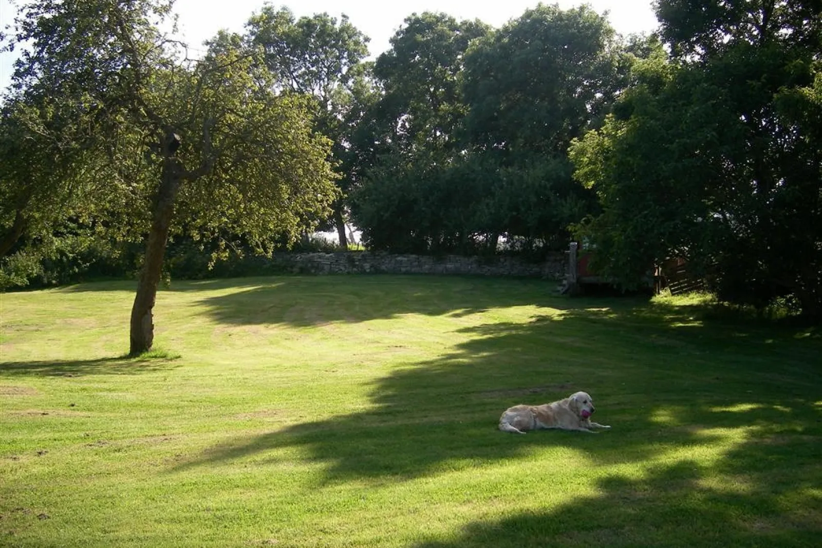 Property image 8 for SC994113