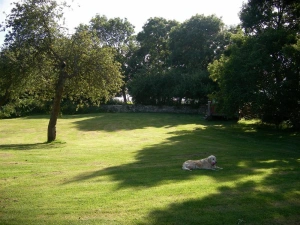 Property image 8 for SC994113