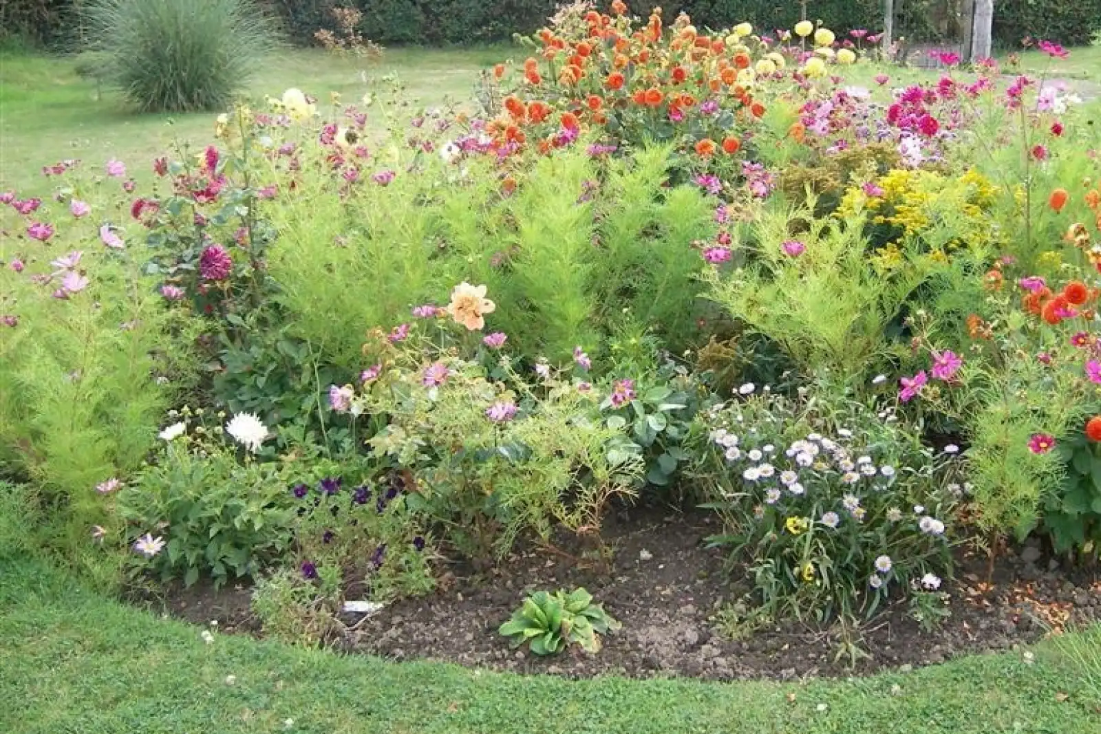 Property image 3 for SC994231