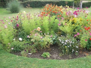 Property image 3 for SC994231