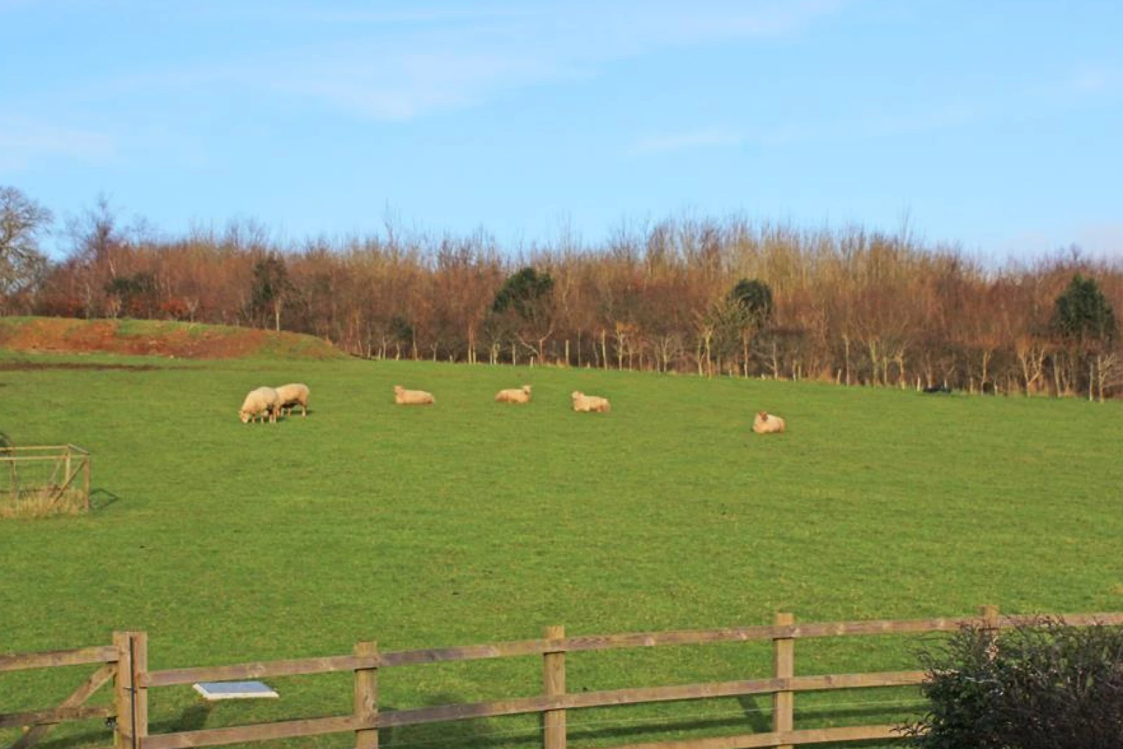 Property image 6 for SC995323