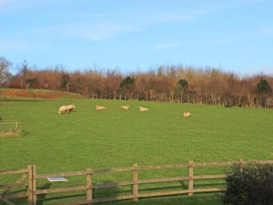 Property image 6 for SC995323