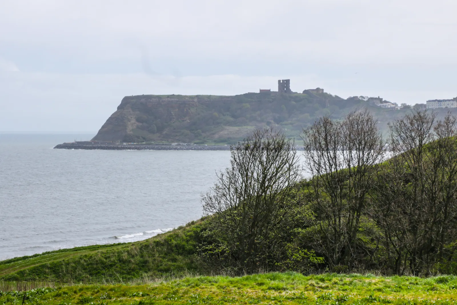 Property image 8 for SC996330