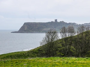 Property image 8 for SC996330