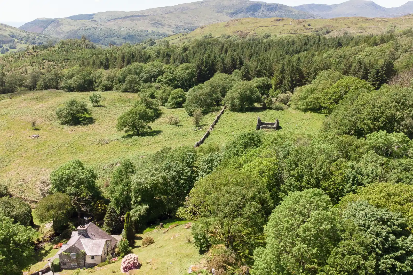 Property image 1 for SC999729