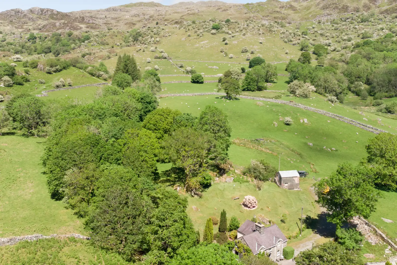 Property image 2 for SC999729