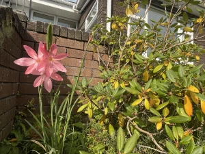 Property image 4 for THC1016