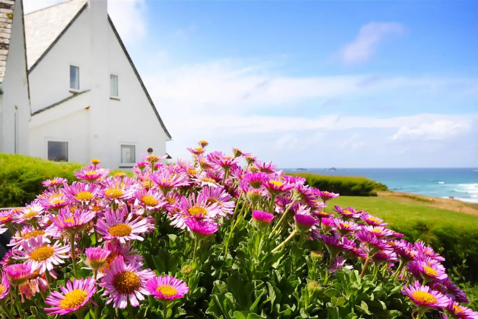 Roswidden on the cliff