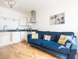 The open plan kitchen dining living space