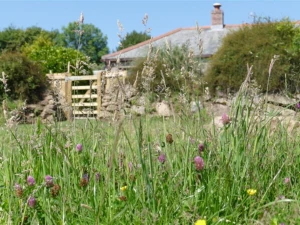 Tremerth Cottage