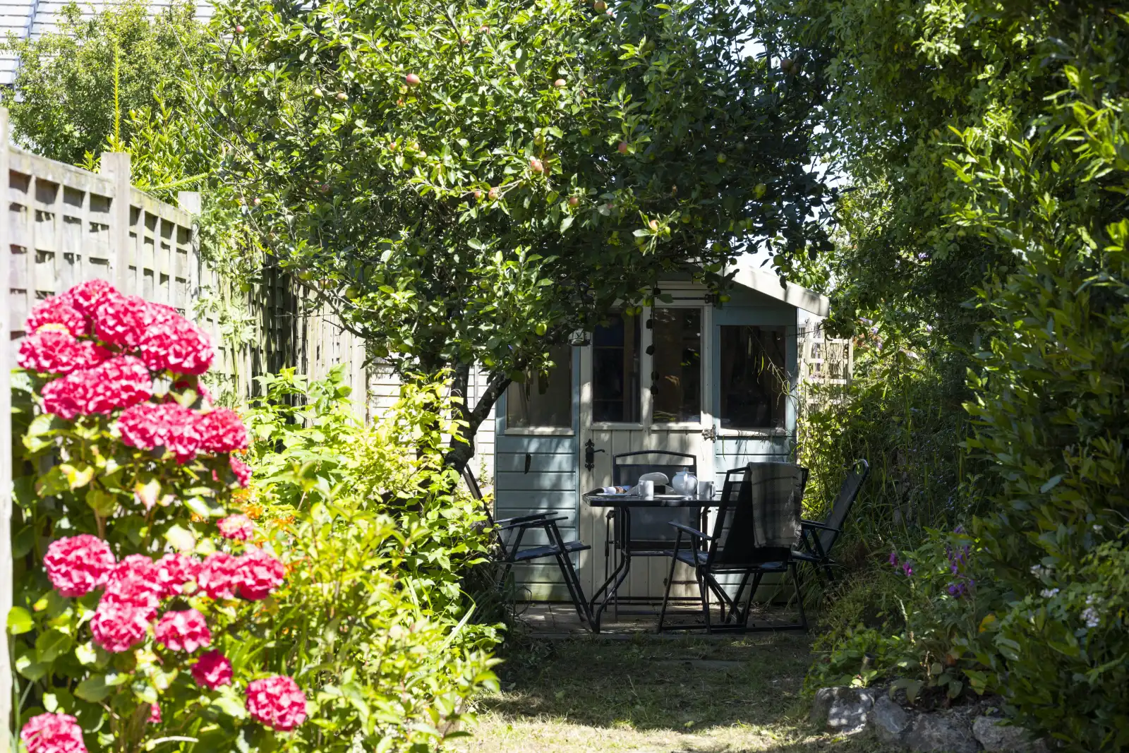 Pretty garden