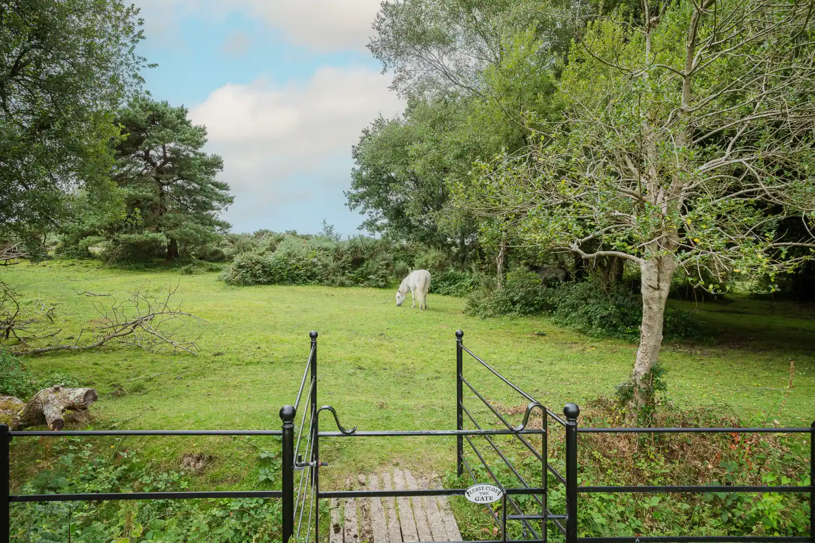 Property image 2 for THCA195