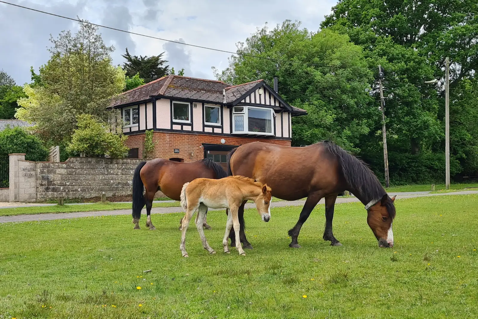 Property image 1 for THCA330