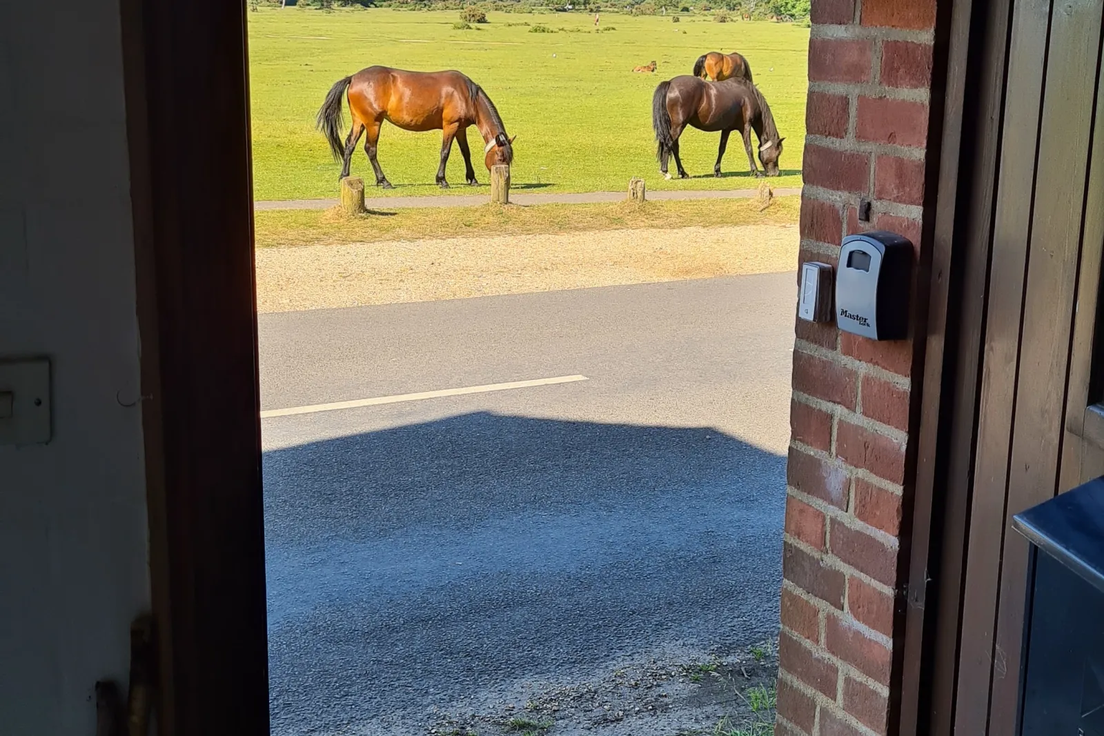 Property image 9 for THCA330