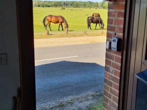 Property image 9 for THCA330