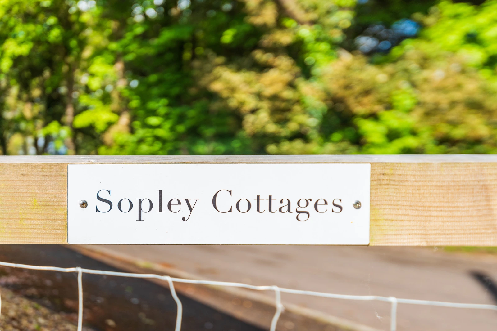 Property image 2 for THCA429