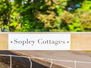 Property image 2 for THCA429