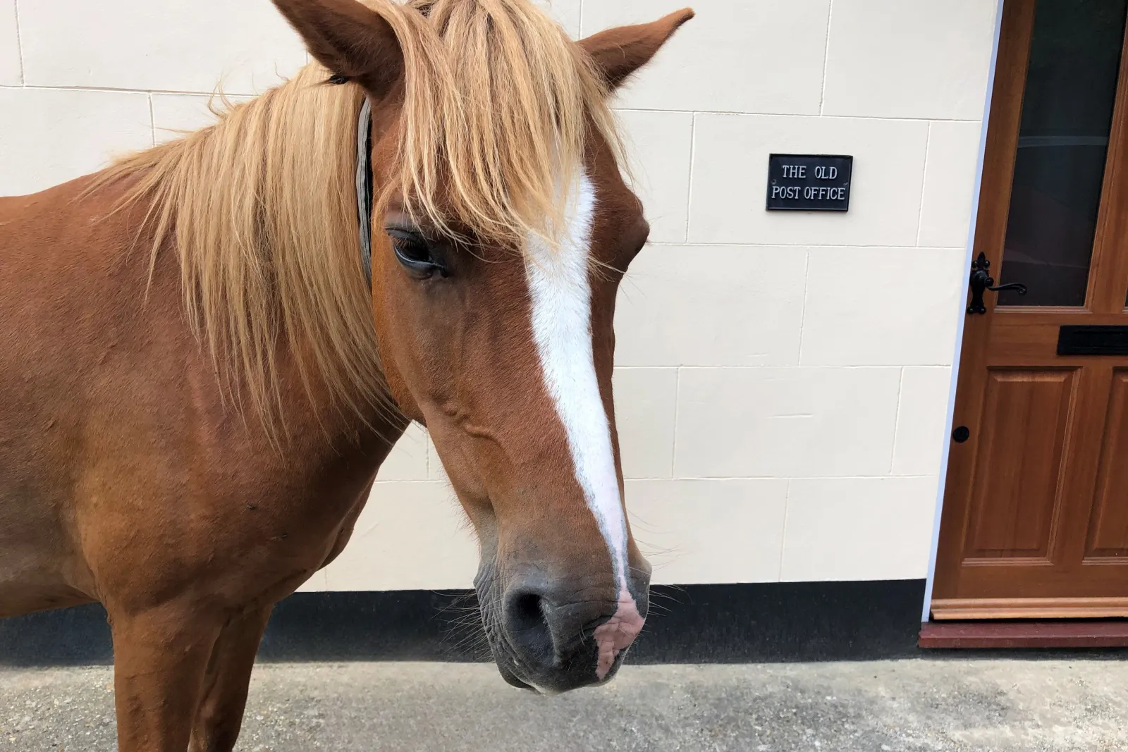 Property image 9 for THCA593