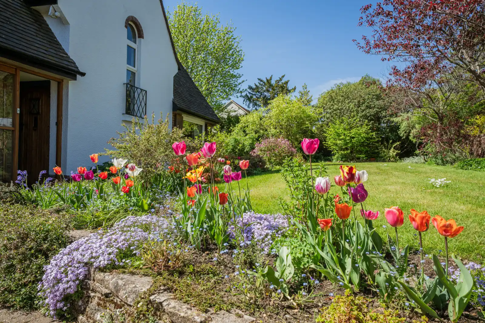 Property image 6 for THCA598