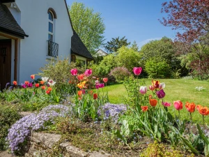 Property image 6 for THCA598