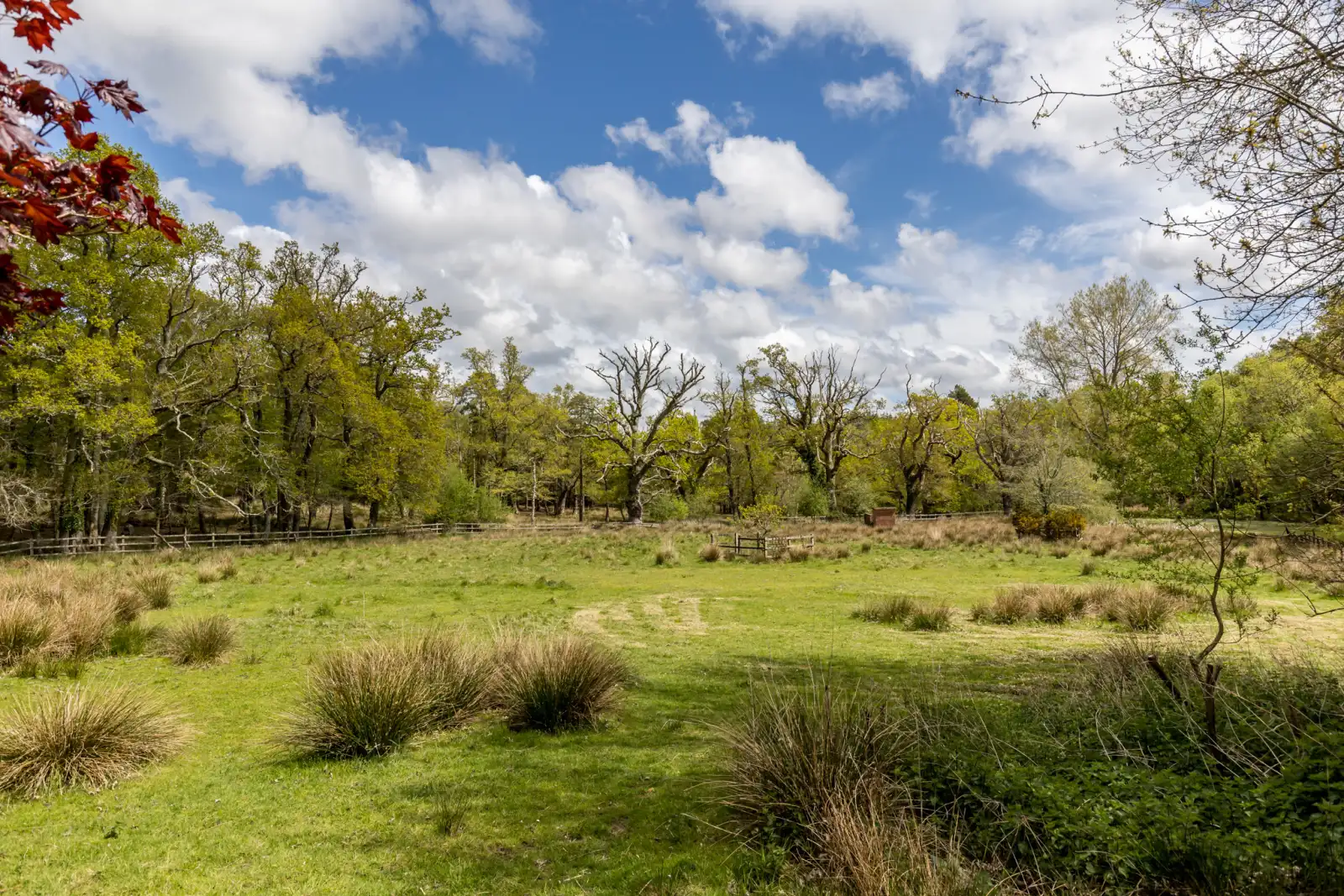 Property image 6 for THCA726