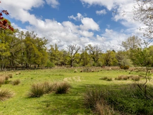 Property image 6 for THCA726