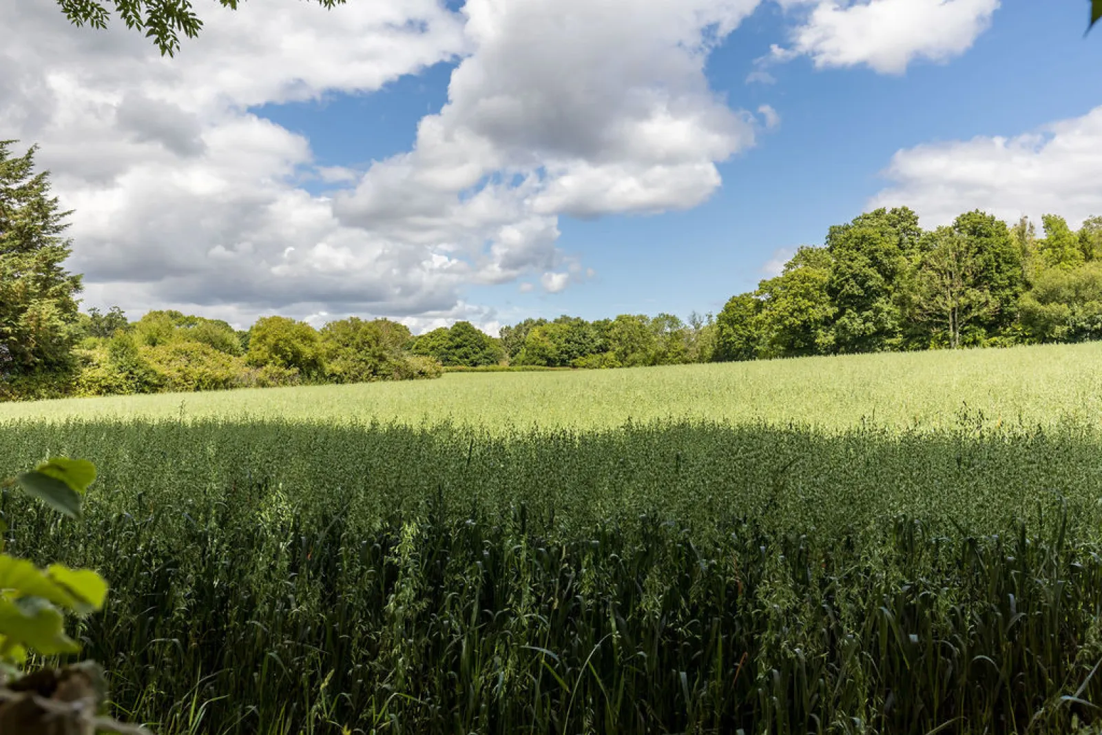 Property image 5 for THCA840