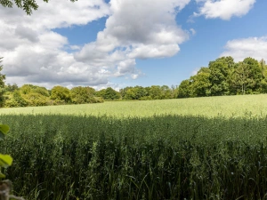 Property image 5 for THCA840