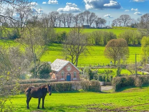 Property image 6 for THCA851