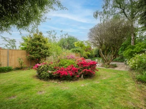 Property image 7 for THCA933