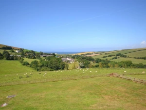 The view from the property