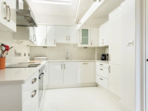 The well equipped kitchen