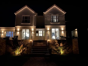 Clevedon lit up at night. 