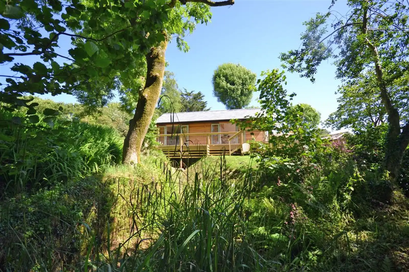 View from the lower garden area and paths