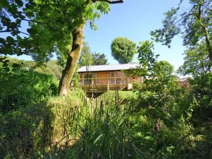 View from the lower garden area and paths