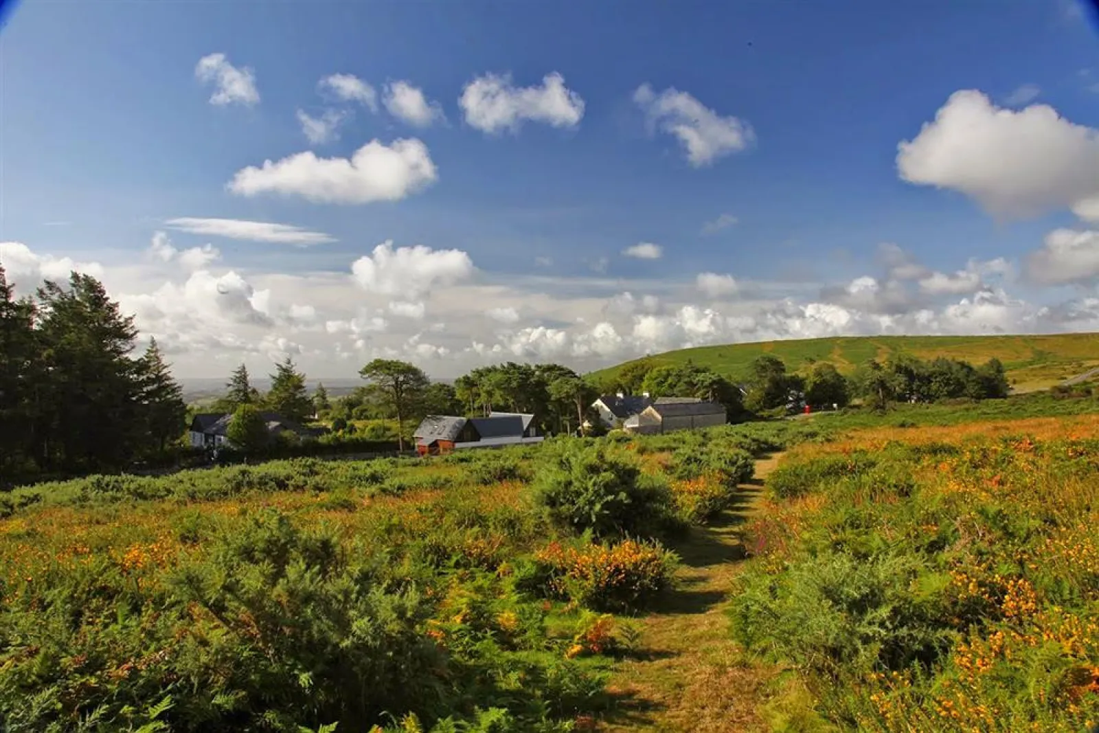 Haytor Loft commands a magnificent Dartmoor location.