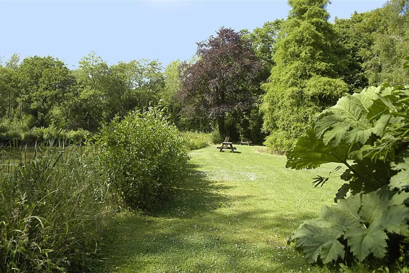 Colmer grounds