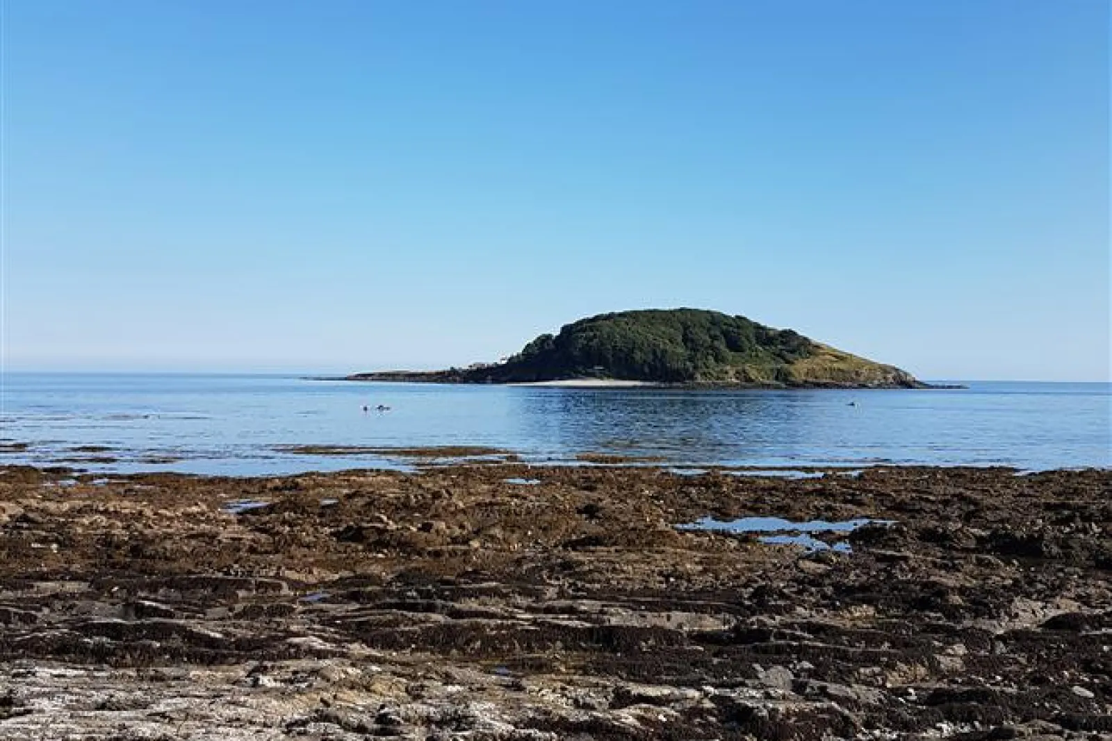 The fabulous Looe Island which can be seen from the house.