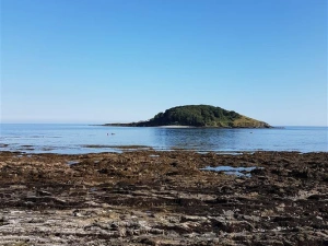 The fabulous Looe Island which can be seen from the house.