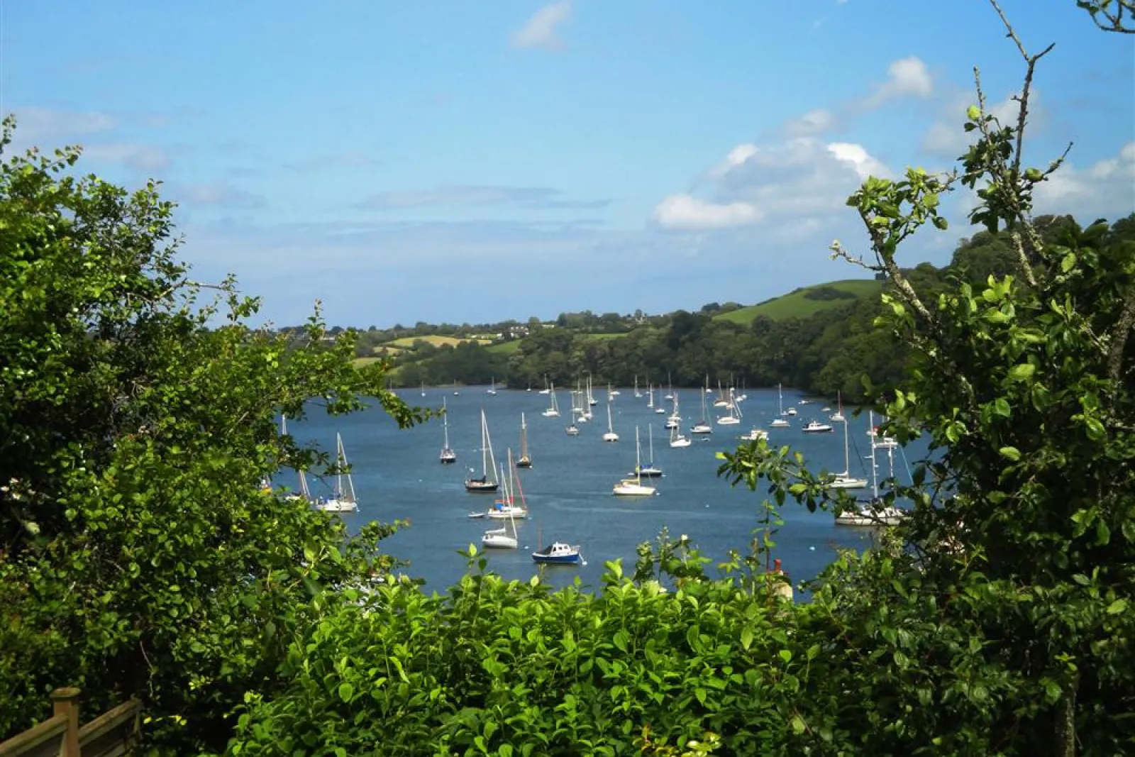 The view from the garden at Homelands.