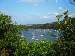 The view from the garden at Homelands.