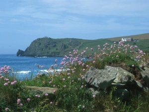 Stunning scenery and walks at Prawle Point