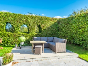 Property image 5 for THCMANOR