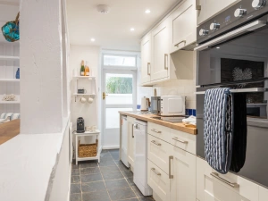 Modern kitchen with additional fridge / freezer in lean to