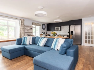 The stunning living room 