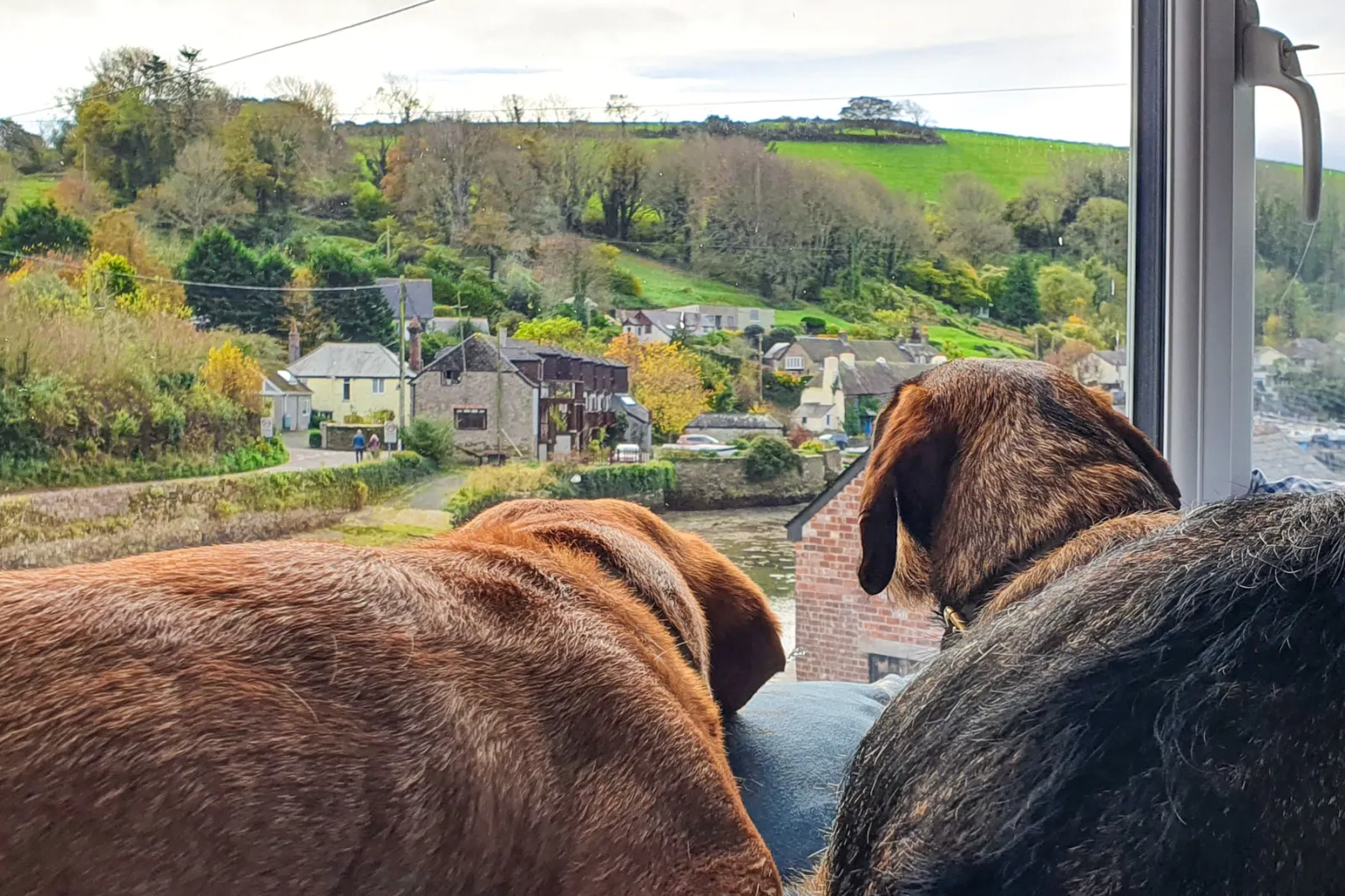 Property image 9 for THCOBARN