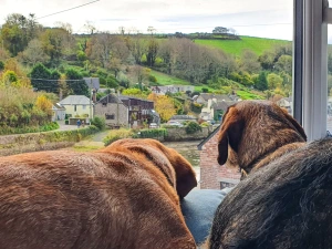 Property image 9 for THCOBARN