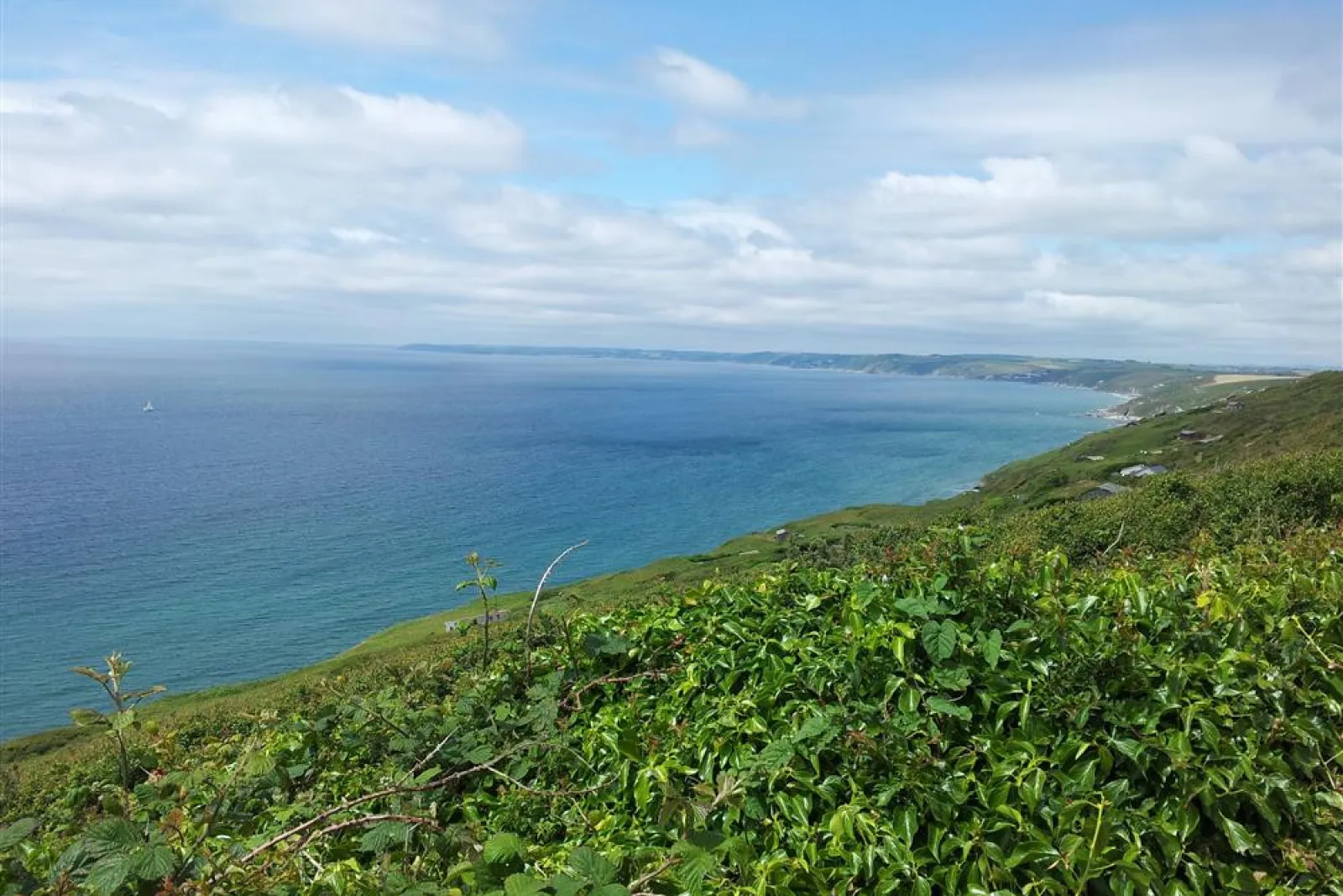 Part of the beautiful headland just round the corner from Looe.